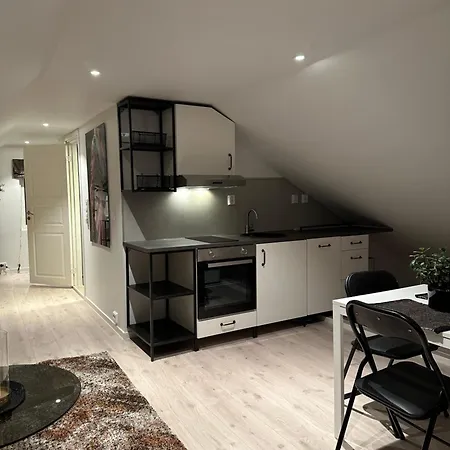 Διαμέρισμα Arctic Loft *