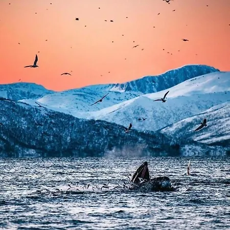 Arctic Loft Διαμέρισμα