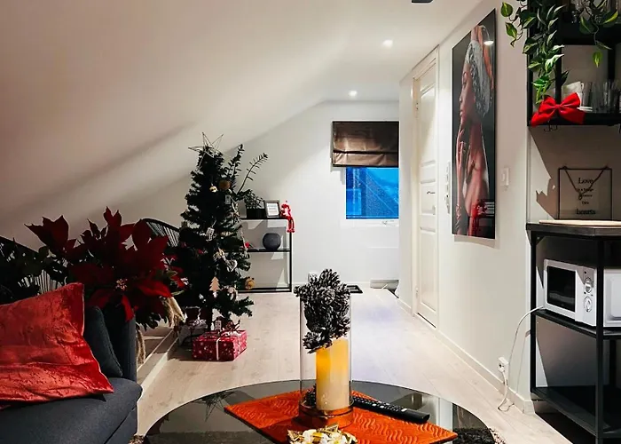 Arctic Loft Appartement Skjervoy