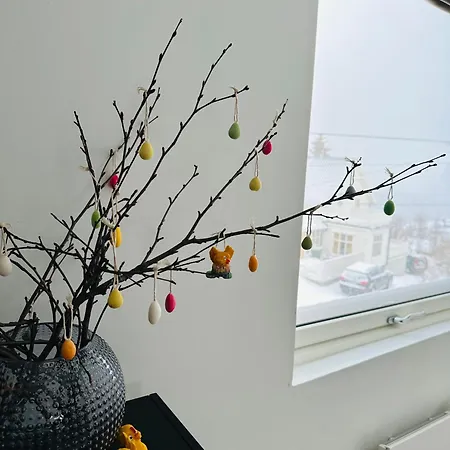 Arctic Loft 公寓 Skjervoy