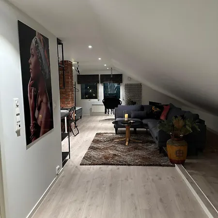 Arctic Loft 公寓 Skjervoy